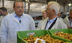 Ο πρόεδρος του ΣΥΡΙΖΑ Π.Σ. Σωκράτης Φάμελλος ξεναγείται στο συσκευαστήριο της ΣΥΚΙΚΗΣ από τον πρόεδρο της συνεταιριστικής οργάνωσης Παναγιώτη Παπαγεωργίου