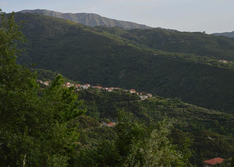 Πηγές Ταϋγέτου