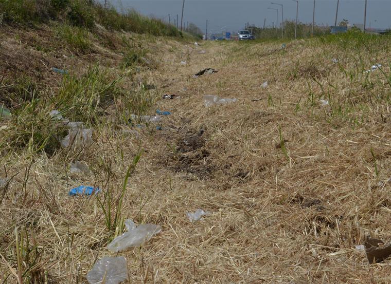 Καθάρισαν τη βλάστηση, άφησαν τα σκουπίδια...