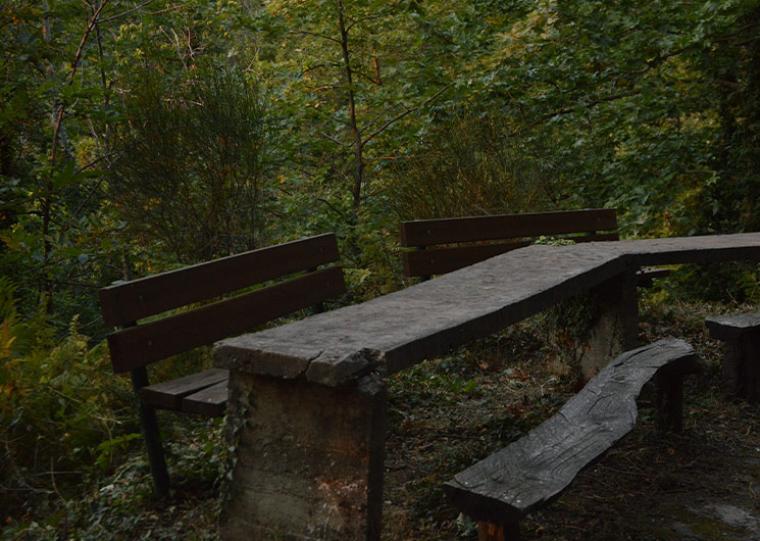 Και το Σάββατο απαγόρευση κυκλοφορίας στα δάση της Μεσσηνίας