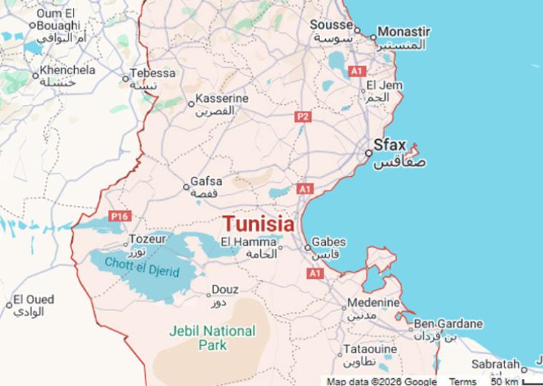 «Έγκλημα εναντίον των ελαιοπαραγωγών ο διπλασιασμός των εξαγωγών ελαιολάδου χωρίς δασμούς από την Τυνησία»