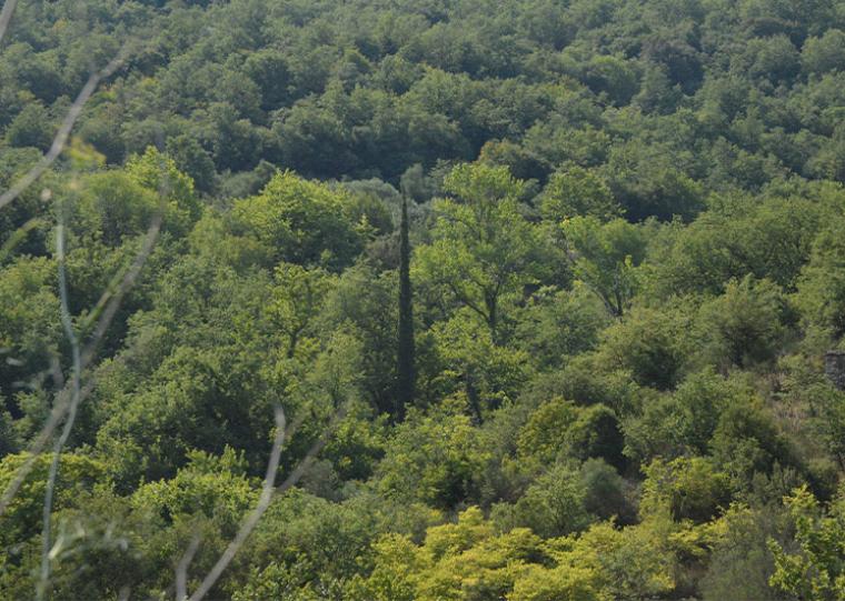 Και την Παρασκευή απαγόρευση κυκλοφορίας σε δάση, ποτάμια λόγω πολύ υψηλού κινδύνου πυρκαγιάς