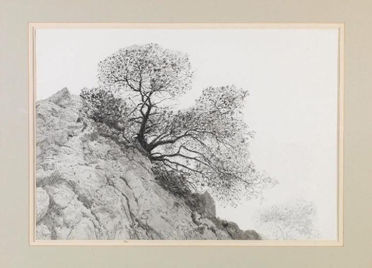 Χειμωνιάτικο Δέντρο σε βράχο. Ακουαρέλα και παστέλ και σιβηρικό κάρβουνο