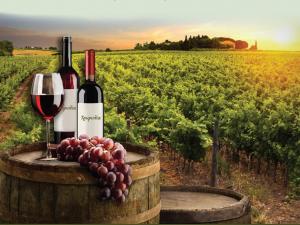 "Οινοποιήματα 2019" στον παλιό Νερόμυλο στην Κυπαρισσία