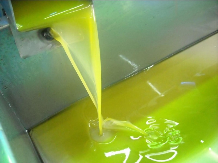 Ενημέρωση για το ΠΟΠ Καλαμάτα στους Γαργαλιάνους