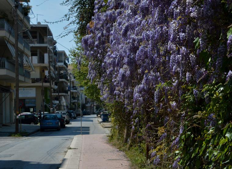 Με τον κορονοϊό γνωρίζω καλύτερα την πόλη μου