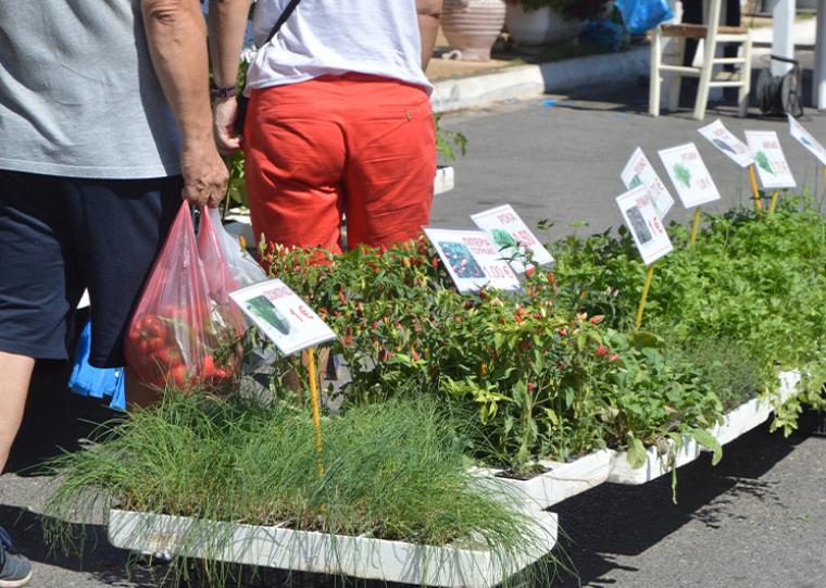 ΖΟΥΡΝΑΛΙΣΜΑΤΑ: Στη λαϊκή