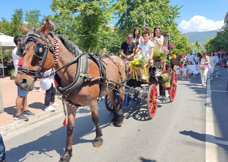 Ανθοκομική Έκθεση στο Δημοτικό Πάρκο Καλαμάτας και την Κυριακή η λουλουδένια παρέλαση