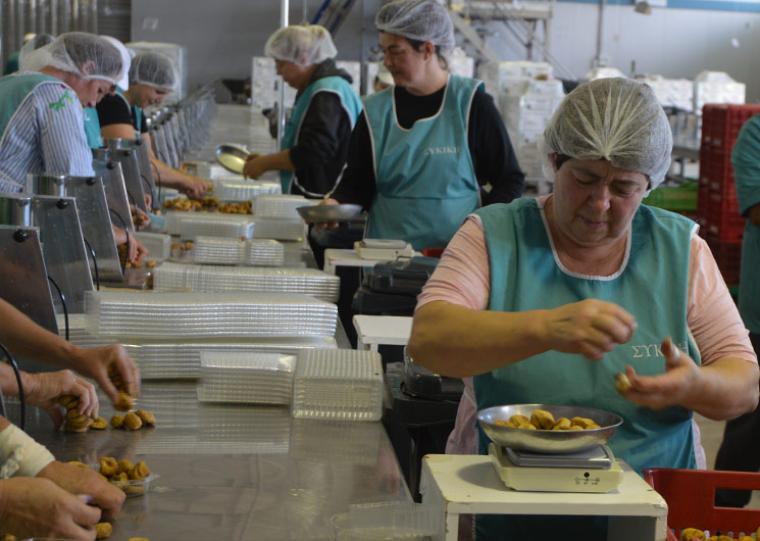 Τελικές τιμές από τη ΣΥΚΙΚΗ για τα σύκα – Την Παρασκευή η πίστωση στους λογαριασμούς