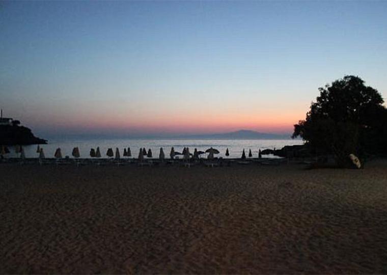 Ελέφαντας στην Αίγινα και άλλες ιστορίες (339)