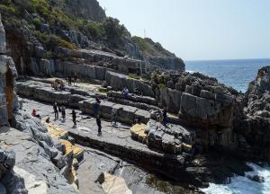 Μουσικό Καταφύγι από τη ΝΑΡΤΟΥΡΑ