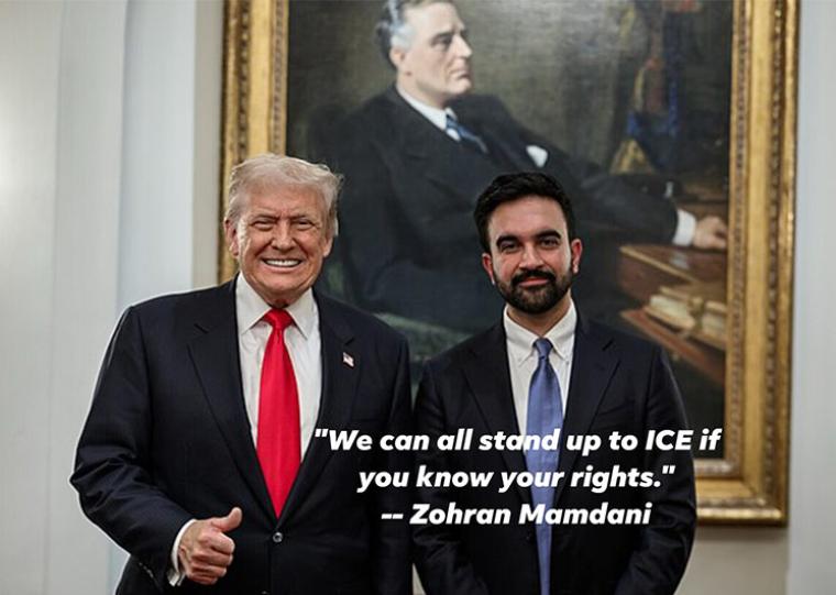 ΖΟΥΡΝΑΛΙΣΜΑΤΑ: Ζοχράν Μαμντάνι και προσδοκίες