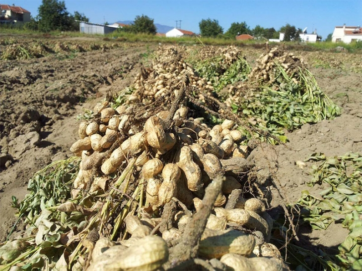 Εκδήλωση του ΣΥΡΙΖΑ στη Μεσσήνη για τα αγροτικά ζητήματα