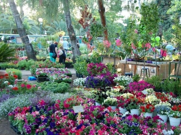 Την Παρασκευή η έναρξη και τα εγκαίνια της Ανθοκομικής Έκθεσης του Δήμου Καλαμάτας