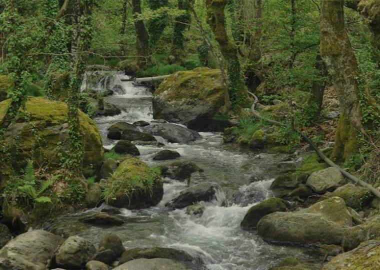 Μικρό υδροηλεκτρικό στο “Σιτσοβίτικο ρέμα”: Όχι η δημοτική αρχή - Περαιτέρω εξηγήσεις θα ήθελε η μείζων μειοψηφία