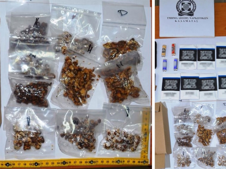 «Ψυχεδελικά» μανιτάρια βρήκε η Δίωξη Ναρκωτικών σε ζευγάρι στο Δήμο Οιχαλίας