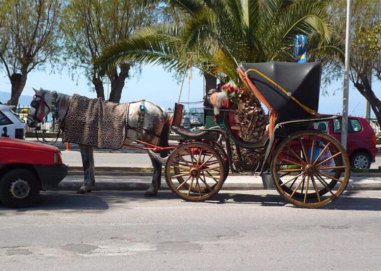 Ελέφαντας στην Αίγινα και άλλες ιστορίες (354)