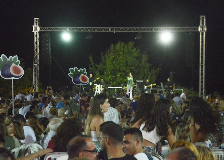 Γιορτή Σύκου Πολυλόφου (φωτό αρχείο)