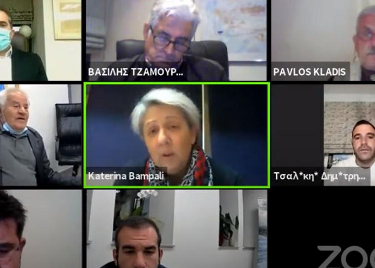 Δέκα πέντε ώρες τη μέρα στο zoom