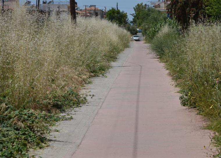 Κίνδυνος από τη ξερή βλάστηση δίπλα σε Δημοτικό Παιδικό Σταθμό της Καλαμάτας