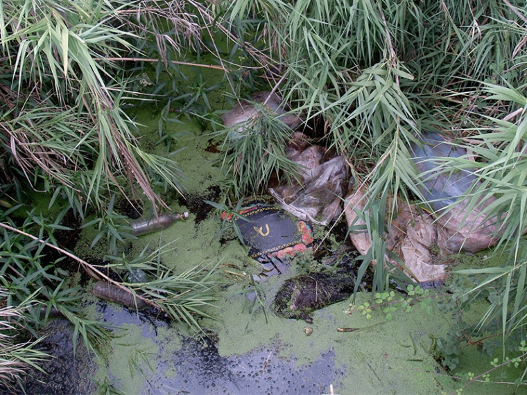 Αποστραγγιστικό κανάλι στο Ασπρόχωμα, από το οποίο ποτίζονται καλλιέργειες. Διακρίνεται η πράσινη γλίτσα, ένα ψοφίμι ζώου και άλλα σκουπίδια
