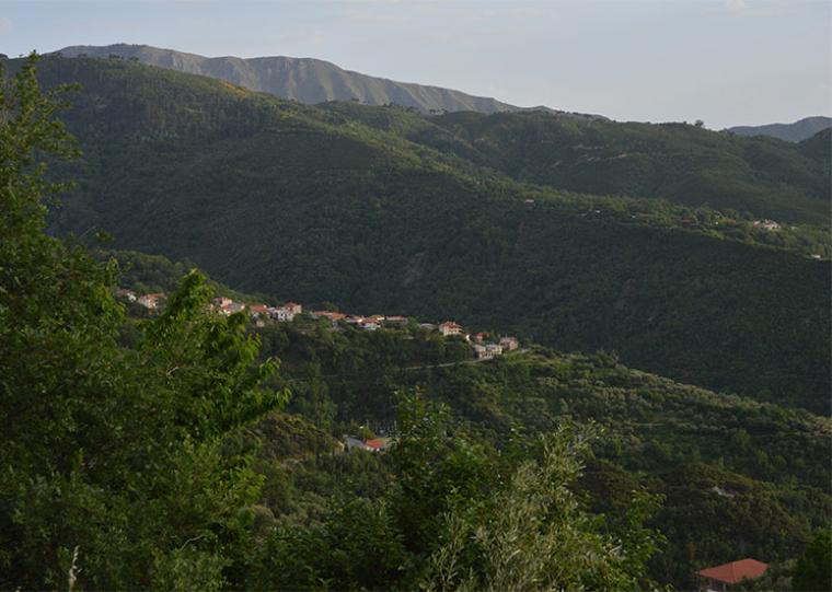 Το Δημοτικό Συμβούλιο Καλαμάτας για την ΟΧΕ Ταϋγέτου και το μικρό υδροηλεκτρικό στην Αρτεμισία