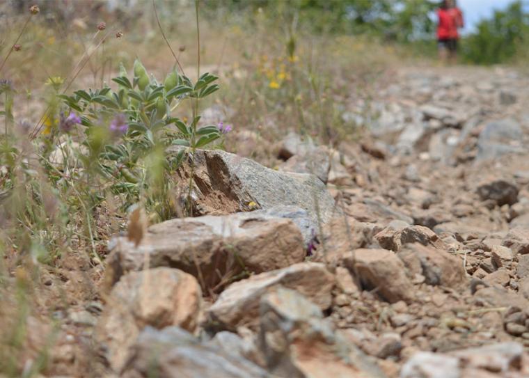 Επιστημονικά σενάρια κρούουν το καμπανάκι του κινδύνου για την ερημοποίηση του 50% της χώρας σε βάθος 20ετίας!