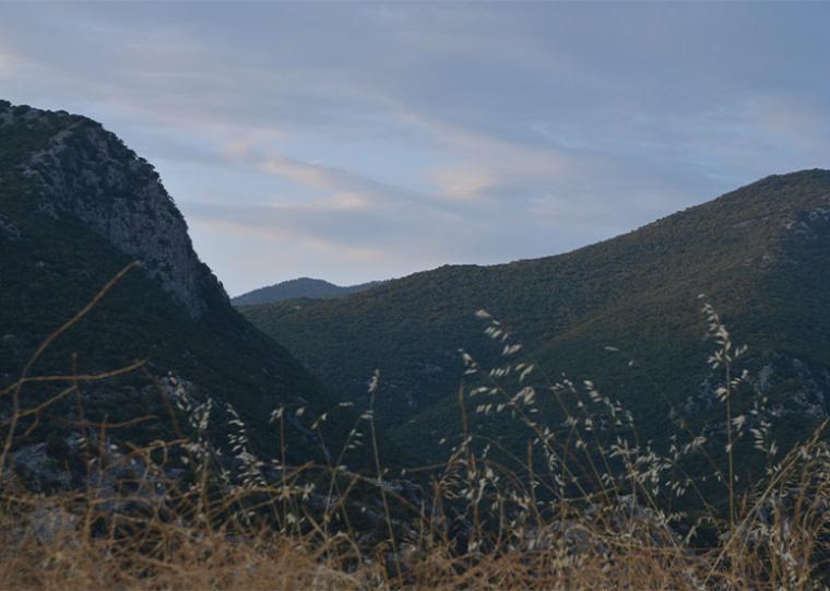 Υψηλός ο κίνδυνος πυρκαγιάς την Τρίτη στη Μεσσηνία - Απαγόρευση κυκλοφορίας και παραμονής στα δάση