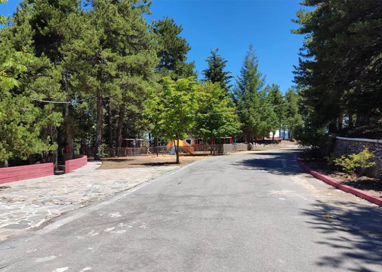 Έναρξη υποβολής αιτήσεων για την κατασκήνωση της Αγίας Μαρίνας στον Ταΰγετο