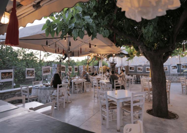 Ελέφαντας στην Αίγινα και άλλες ιστορίες (327)