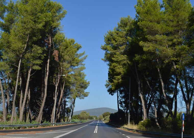 Ανησυχίες και από τον Π. Μαντά για το Καλό Νερό-Τσακώνα μετά τις ανακοινώσεις του περιφερειάρχη