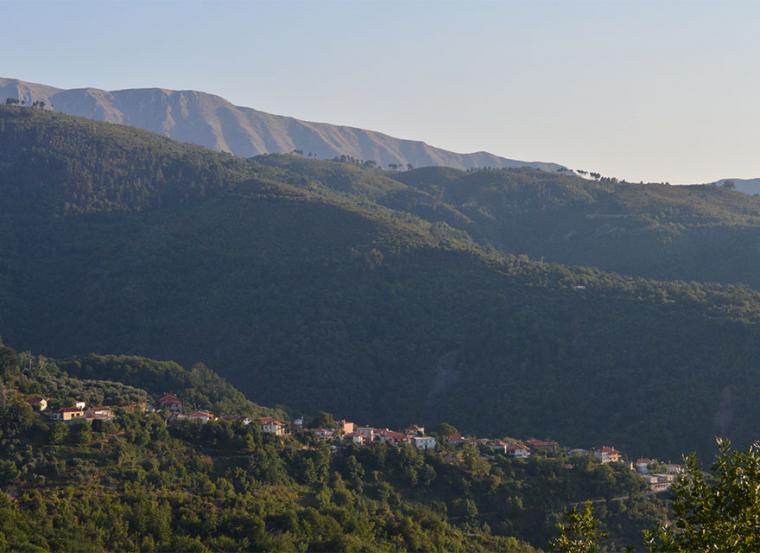 Πηγές Αλαγονίας