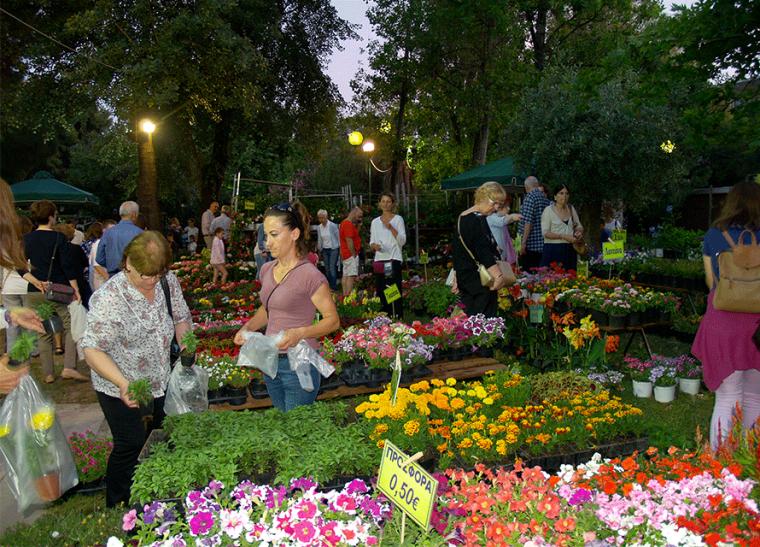 φωτό αρχείο 