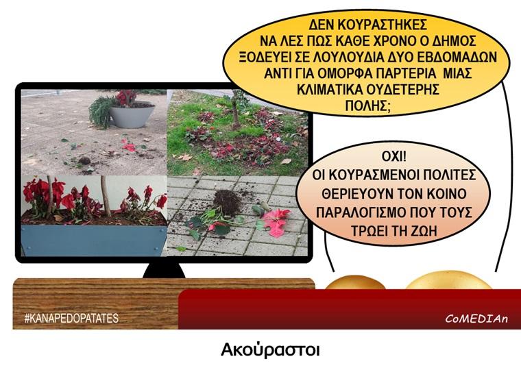 Καναπεδοπατάτες: Ακούραστοι