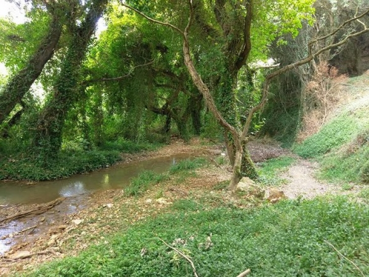 Καθαρισμός μονοπατιού στη Στενωσιά
