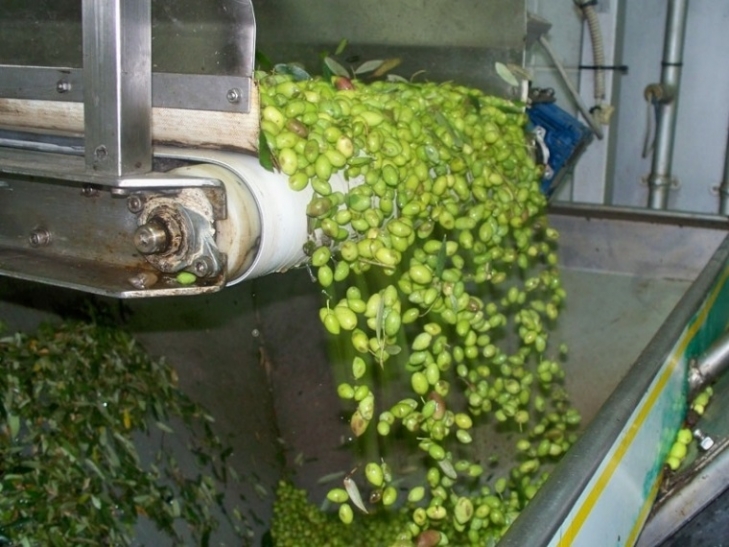 Ημερίδα του Συνδέσμου Ελαιουργείων για τις εξελίξεις στην παραγωγή ελαιολάδου