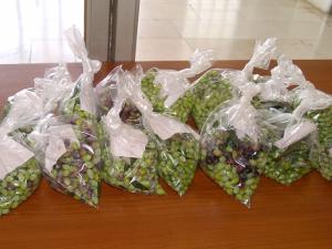 φωτό αρχείο 