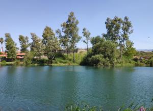 Έλεγχοι για τα απόβλητα των ελαιοτριβείων και ερώτηση Χαρίτση-Αραχωβίτη στη Βουλή