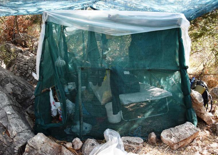 Φυτεία κάνναβης με κάλυψη-παραλλαγή στην Καλλιρρόη - Ο καλλιεργητής πιάστηκε στον ύπνο
