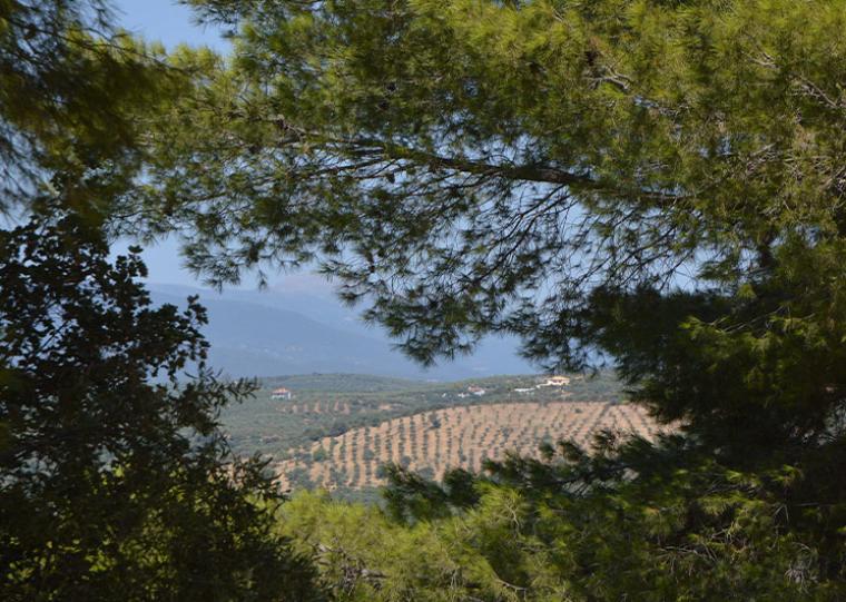 Συνέδριο για τη συμβολή του προγράμματος Leader στη Μεσσηνία