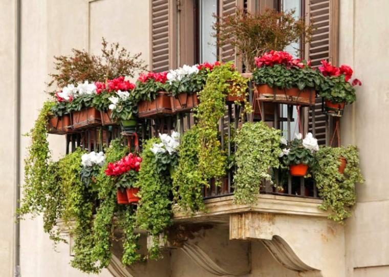 Ξεκίνησε ο διαγωνισμός μπαλκονιού ή ταράτσας του Δήμου Καλαμάτας - “Ανθίζει η πόλη όταν ανθίζουν τα μπαλκόνια μας!”