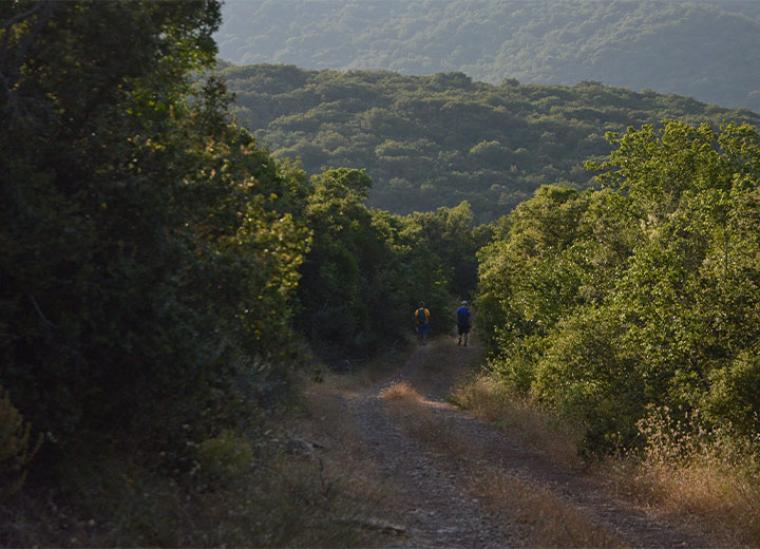 Αυξημένος κίνδυνος πυρκαγιάς και σήμερα στη Μεσσηνία – Συνέχιση της απαγόρευσης κίνησης σε δάση