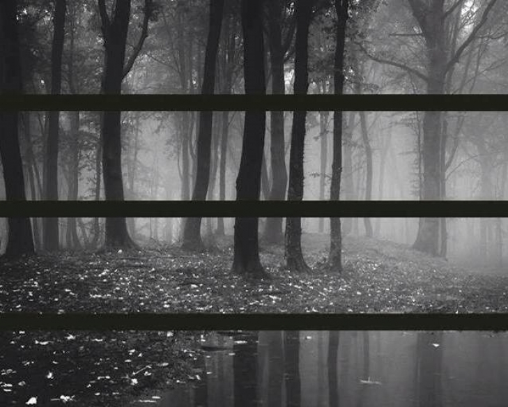 Fred Lupo στη Φιλαρμονική