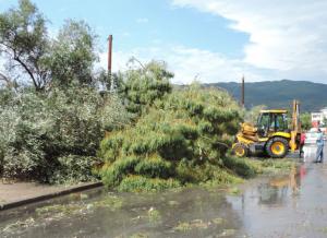 Η Περιφερειακή Ενότητα Μεσσηνίας καταγράφει τις ζημιές στις επιχειρήσεις από το μπουρίνι